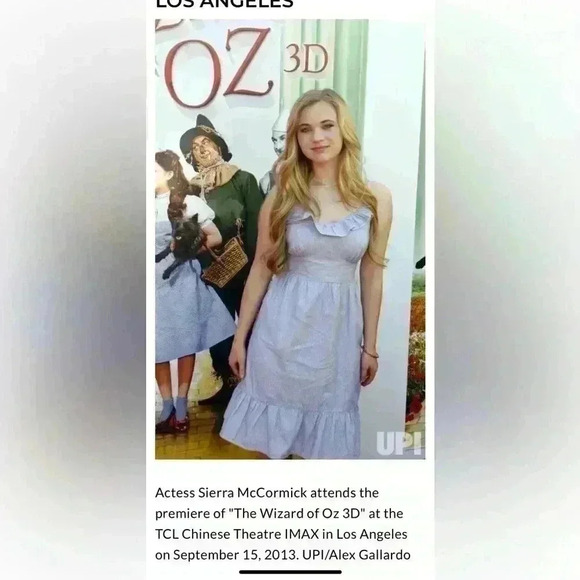 TOMMY HILFIGER sweetheart sun dress chambray blue stripe ruffle women size 4 - Picture 10 of 12